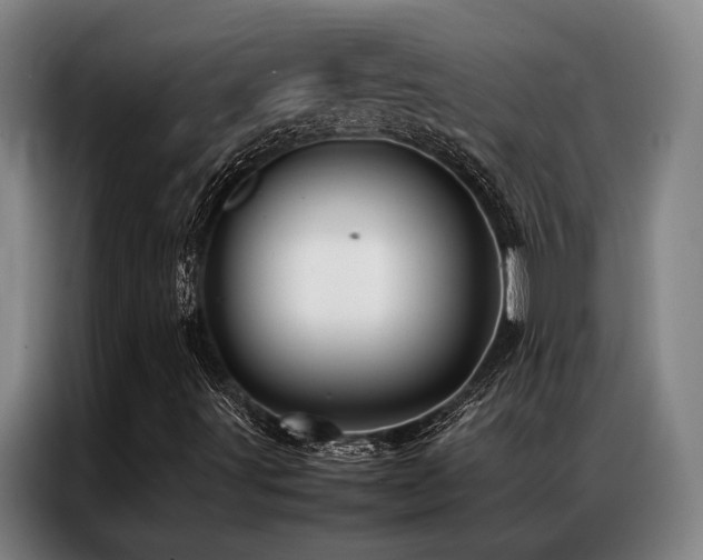 X0000087371491200704201218