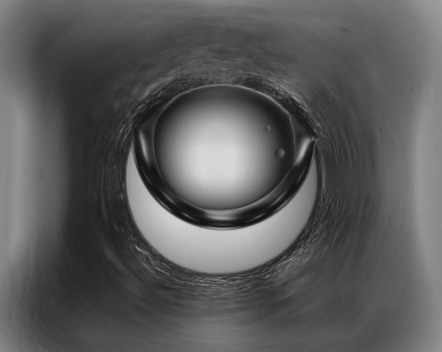 X0000087371492200704201218