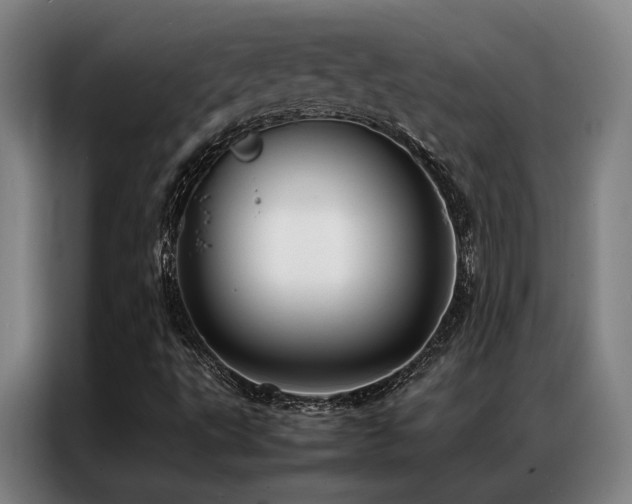 X0000087371495200704201218