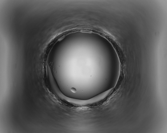 X0000087371496200704201218