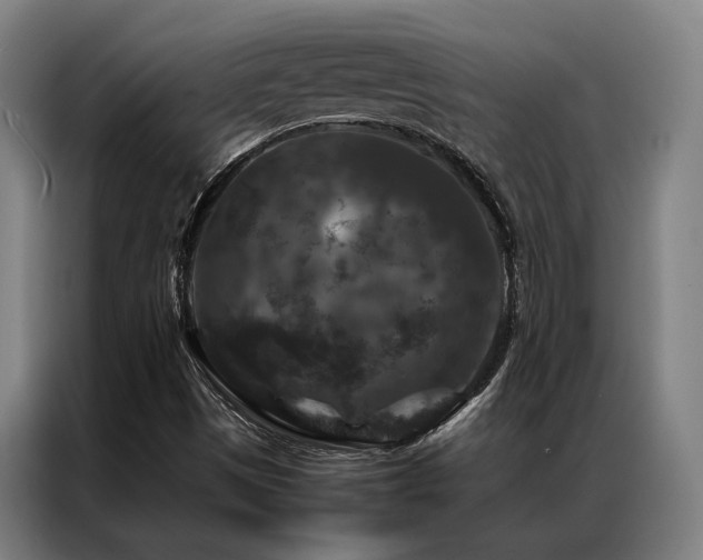X0000087371497200704201218