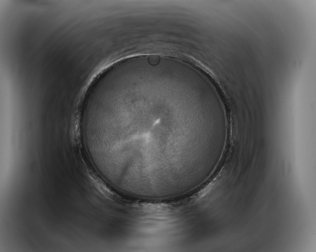 X0000087371498200704201218