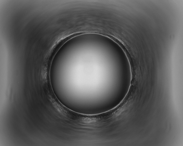 X0000087371499200704201218