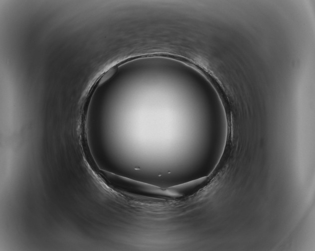 X0000087371500200704201218