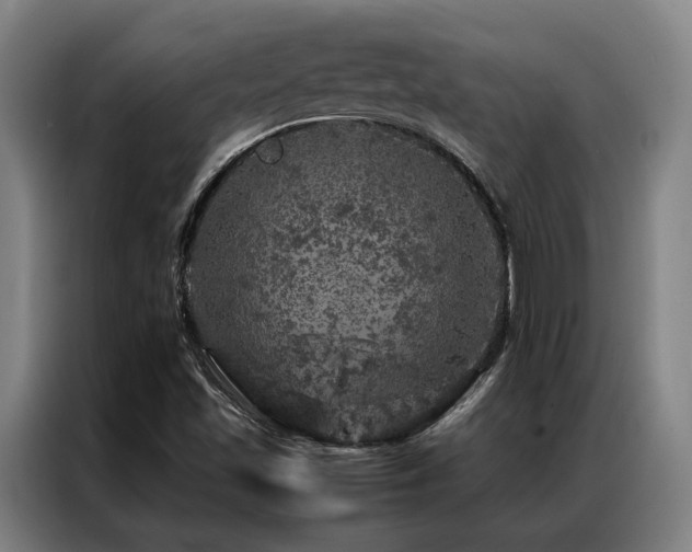 X0000087371501200704201218