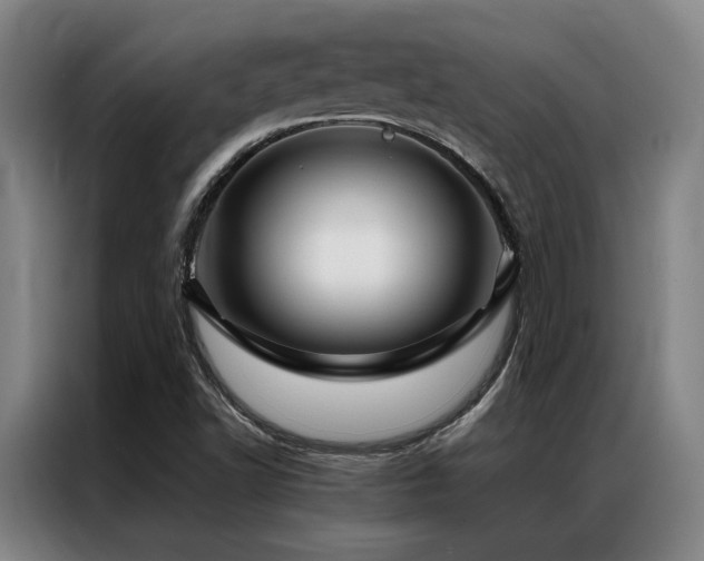 X0000087371502200704201218