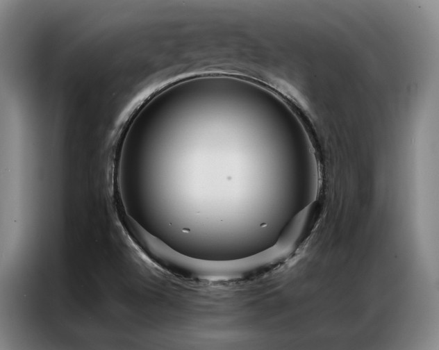 X0000087371504200704201218