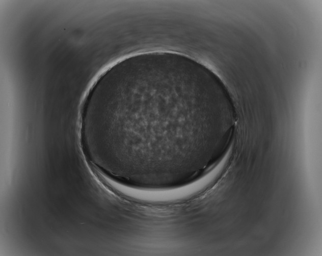 X0000087371508200704201219