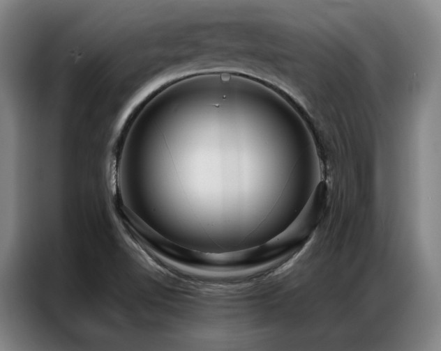 X0000087371510200704201219