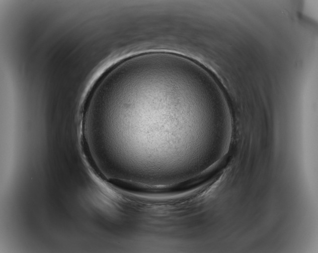 X0000087371511200704201219