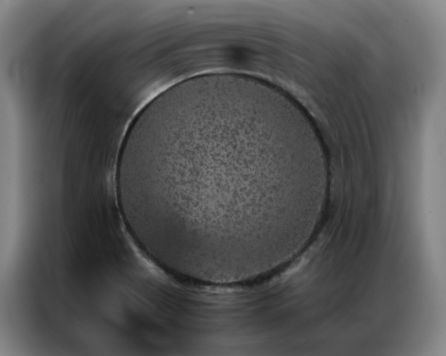 X0000087371513200704201219