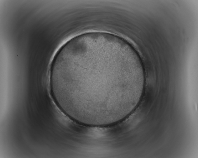 X0000087371514200704201219