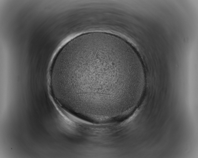 X0000087371517200704201219