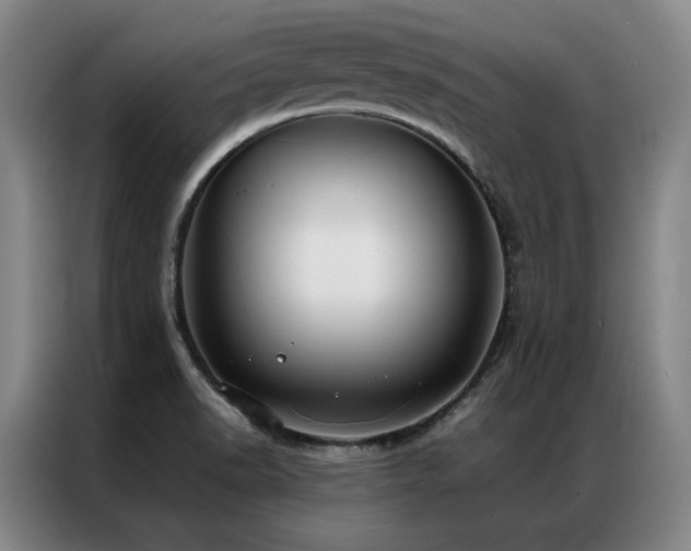 X0000087371518200704201219