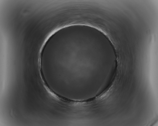 X0000087371519200704201219