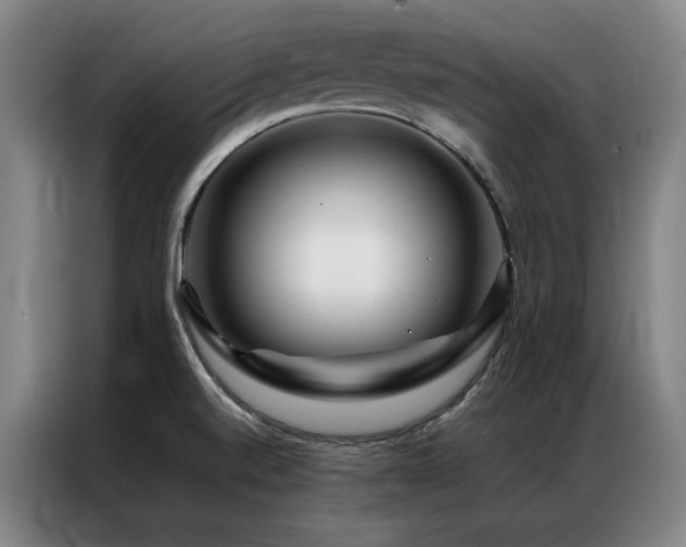 X0000087371520200704201219