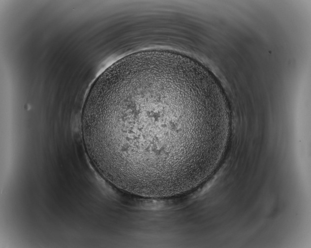 X0000087371521200704201219