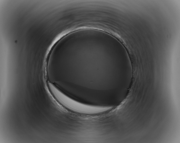 X0000087371522200704201219