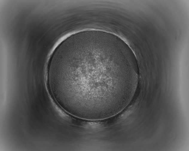X0000087371523200704201219