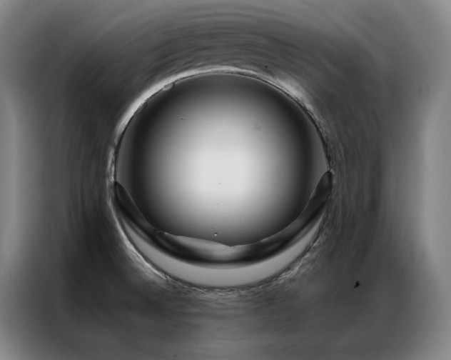X0000087371524200704201219