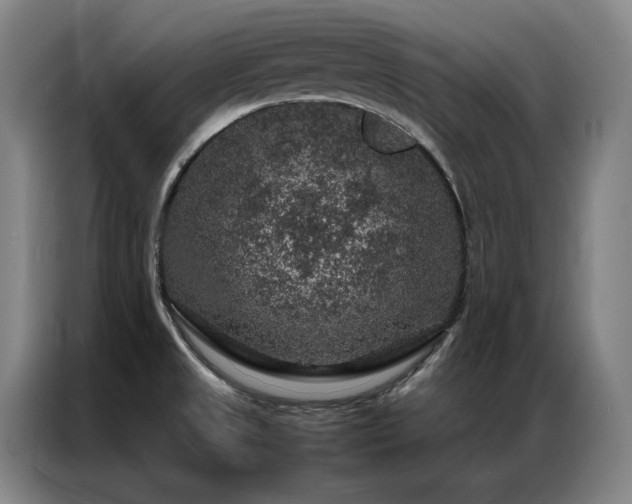 X0000087371525200704201219