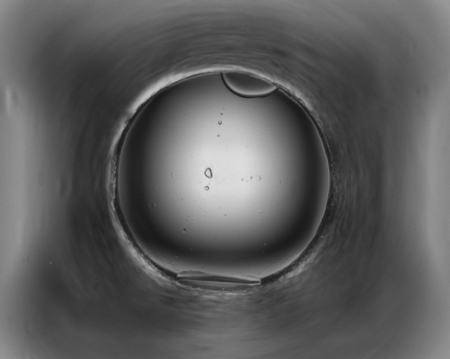 X0000087371526200704201219