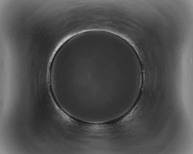 X0000087371527200704201219