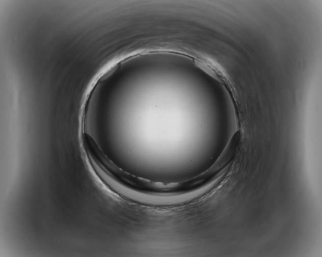 X0000087371528200704201219
