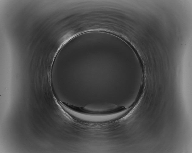 X0000087371529200704201219