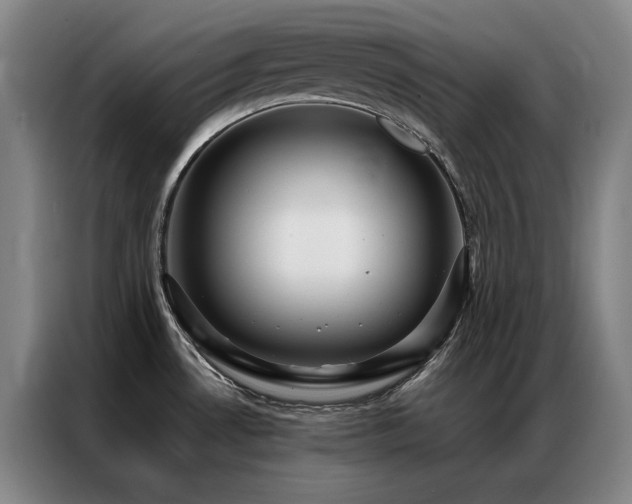 X0000087371530200704201219