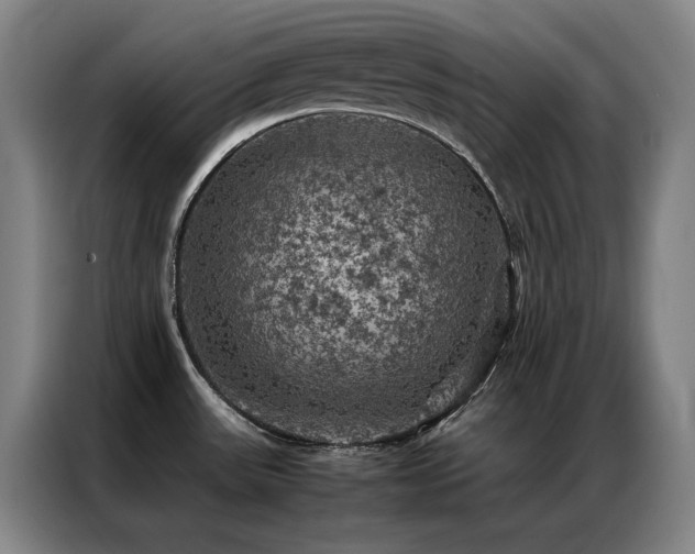 X0000087371531200704201219