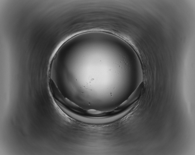X0000087371532200704201219