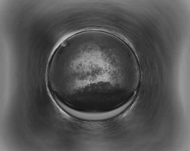X0000087371533200704201219