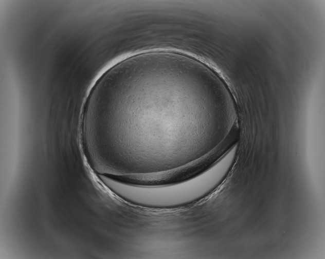 X0000087371534200704201219