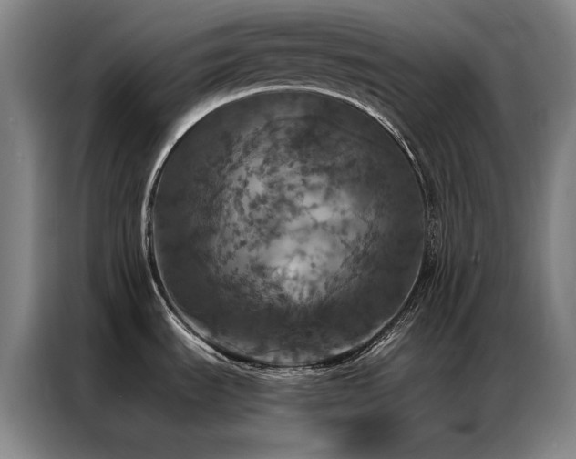 X0000087371535200704201219