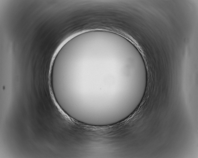 X0000087371536200704201219