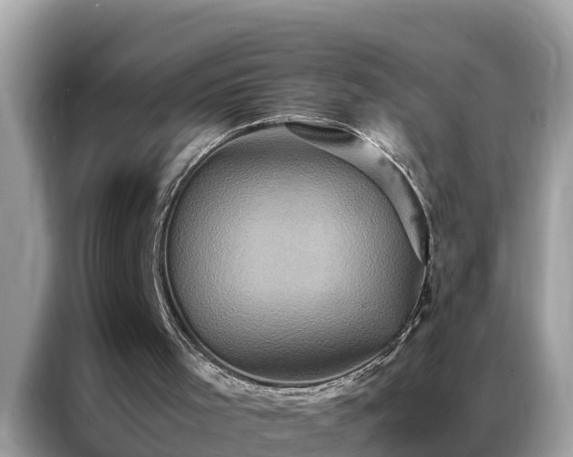 X0000087370001200704271503
