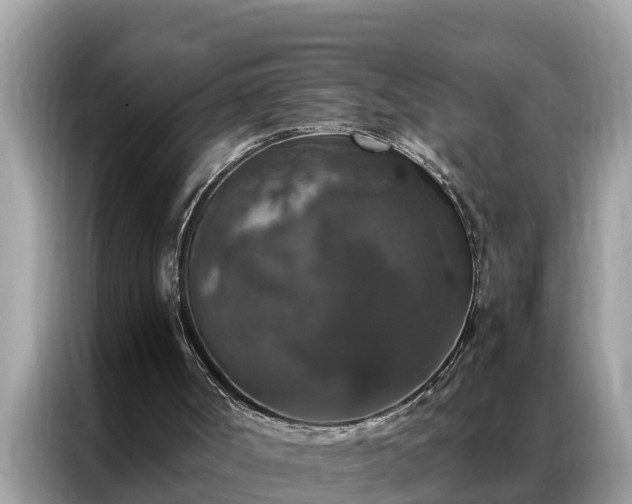 X0000087370002200704271503