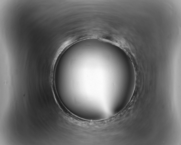 X0000087370003200704271503