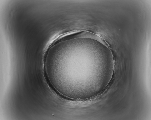 X0000087370005200704271503