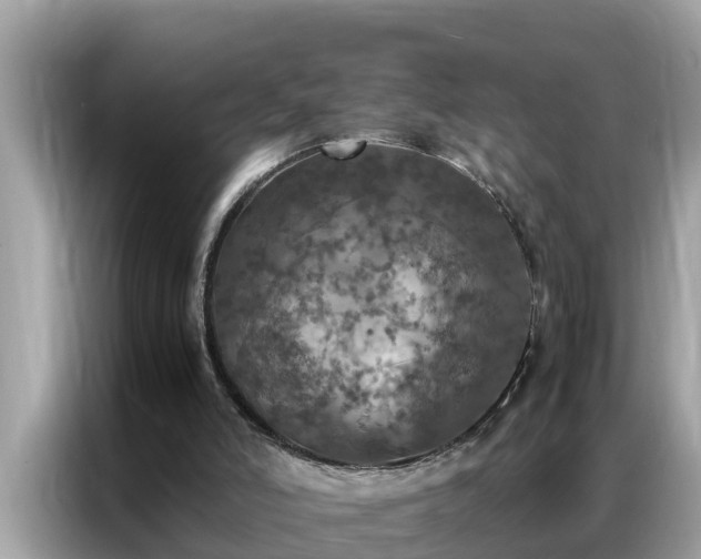 X0000087370006200704271503