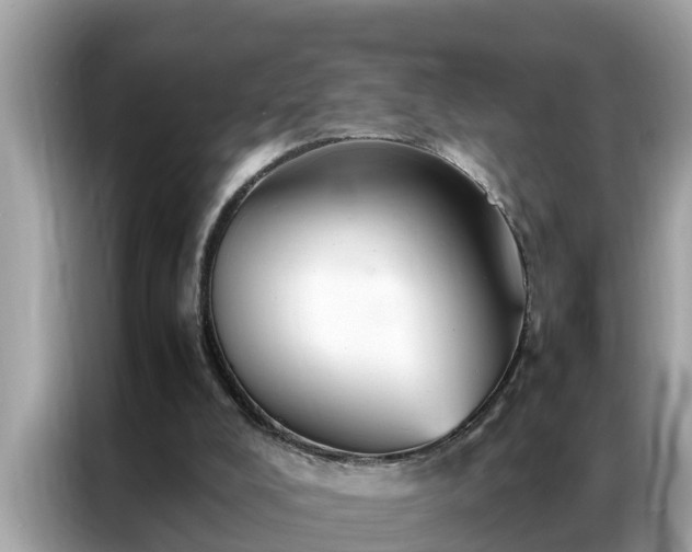 X0000087370008200704271503