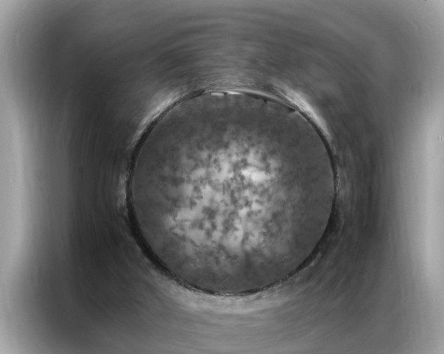 X0000087370010200704271503