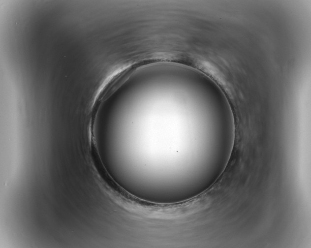 X0000087370011200704271503
