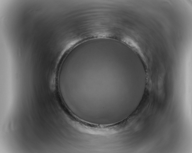 X0000087370012200704271503
