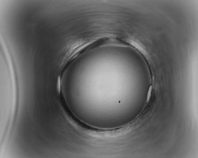 X0000087370013200704271503