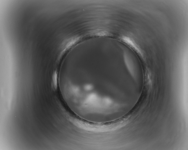 X0000087370014200704271503