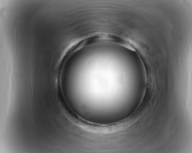 X0000087370015200704271503