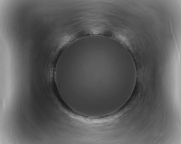 X0000087370018200704271503