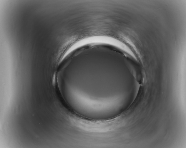 X0000087370019200704271503